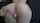 ass spank cum