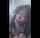 blowjob ebony mature