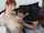 redhead big tits blowjob