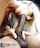 blonde bbc interracial