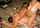 threesome lesbians sexy