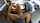 lesbians fingering hot