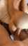 brunette doggystyle tight