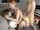 threesome doggystyle lesbian