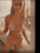 teen onlyfans pornhub