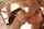 blondes deepthroat blowjob
