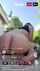 feet masturbate ass