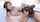lesbians kissing hot