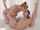 lesbians fingering hot