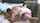 homemade amateur pornstar