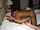 dark interracial mature