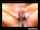 anal blonde rough