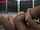 amateur brazilian latina