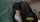 408vip 408vipcom asian