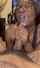 ebony blowjob cumshot