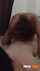 pinay couple blowjob