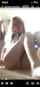 camgirl pussy lesbian