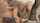 blonde ffm threesome