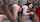 ass bbc threesome