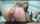 amateur camgirl latina