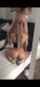 blowjob mirror blonde