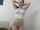 camgirl striptease webcam