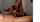 camgirl handjob brunette