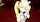 hentai blonde catgirl
