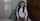 camgirl blowjob brunette