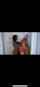 ebony threesome straight