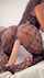 ebony anal dildo