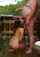 old outdoors clips4sale