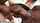 ebony blowjob sucking