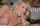 milf blowjob blonde