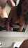 amateur camgurl doggystyle