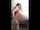 asian filipino shaved pussy