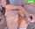 camgirl amateur anal