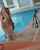 pool bikini sexy
