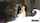 amateur doggystyle missionary
