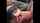 amateur blowjob cumshot