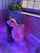 teen nude college