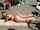 ass beach milf