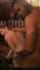 black pornstar video