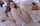 cam girl teen cute