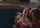 lesbian horny naughty