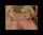 blond italian cumshot