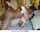 interacial legsspread kissing