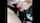 blonde camgirl dildo