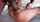 bbc fucked hard milf