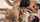 indian romance threesome